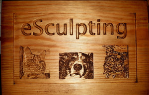 eSculpting